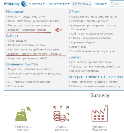 Сервіс digiseller, ciciaika