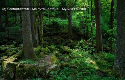 Feketeerdő - egy mese a fekete erdő, Németország - a helyek és látnivalók - független