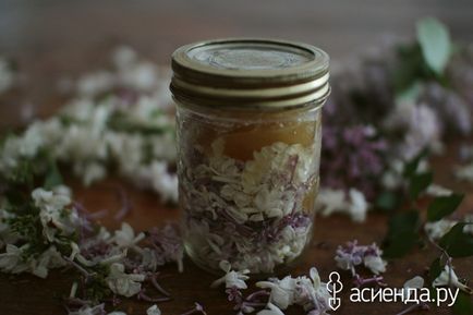 Lilacs a főzés és a házipatika