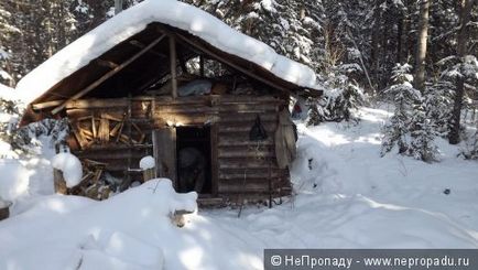 Vissza az erdőben, vagy - ahogy töltötte a hétvégét-2