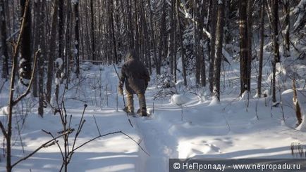 Din nou în taiga sau - cum am petrecut week-end-2