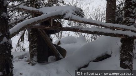 Знову в тайзі або - як я провів вихідні-2