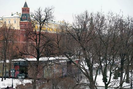 Kreml Dóm tér díszíti a fő karácsonyfa az ország