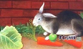 Соковиті корми для кроликів