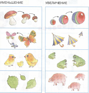 Proporțiile dimensiunilor subiecților sunt comparate prin imagini