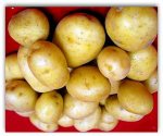 Soiuri de cartofi