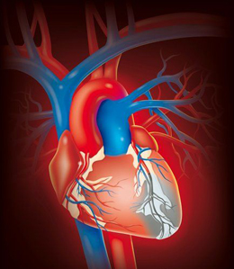 Necroza vasculară și non-coronară a miocardului