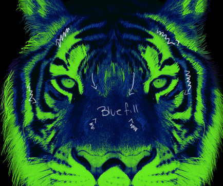 Crearea unei ilustrații psihedelice cu un tigru · 
