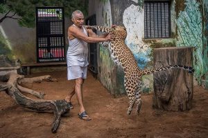 A rohadék erre Ronaldo Torres Az anyag, a tények