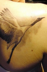 Tattoo Stork (érték, vázlatok, fényképek), tattoofotos