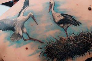 Tattoo Stork (érték, vázlatok, fényképek), tattoofotos