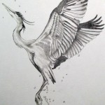 Tattoo Stork érték, fotók, vázlatok (tetoválás) Tattoo Stork érték, fotók, vázlatok