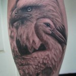Tattoo Stork érték, fotók, vázlatok (Stork) Tattoo Stork érték, fotók, vázlatok