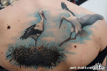 Tattoo Stork - valoare, schițe de tatuaje și fotografii