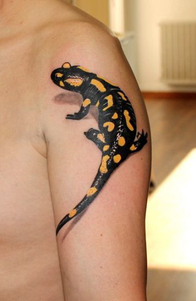 Tattoo Salamander - valoare, schițe de tatuaje și fotografii