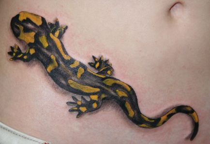 Татуювання саламандра - значення, ескізи тату і фото