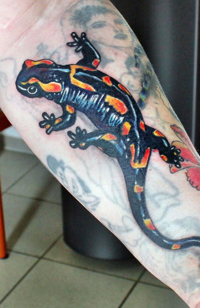 Tattoo szalamandra - érték tetoválás minták és képek