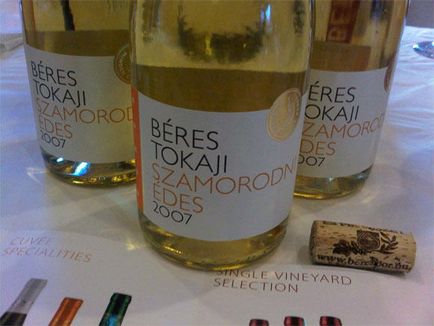 Vin Tokaj - tipuri de vin maghiar