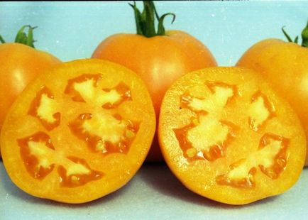 Tomato dyne descrierea soiului, fotografie, caracteristică