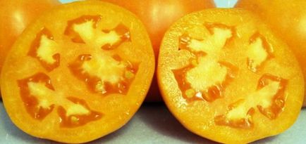 Tomato dyne descrierea soiului, fotografie, caracteristică