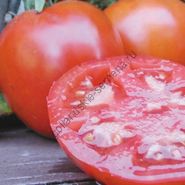 Soi de tomate - vitador - (vitador) f1 25 semințe