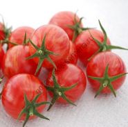 Soi de tomate - vitador - (vitador) f1 25 semințe