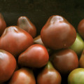 Tomato gros f1 descriere, caracteristici și revizuiri ale clasei