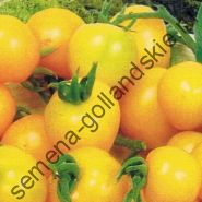 Tomato - Vitador - (vitador) f1 10 semințe