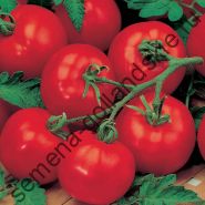 Tomato - Vitador - (vitador) f1 10 semințe