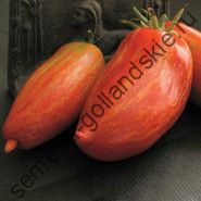 Tomato - Vitador - (vitador) f1 10 semințe