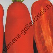 Tomato - Vitador - (vitador) f1 10 semințe