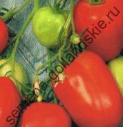 Томат - вітадор - (vitador) f1 10 насіння