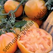 Tomato - Vitador - (vitador) f1 10 semințe