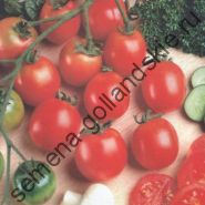 Tomato - Vitador - (vitador) f1 10 semințe