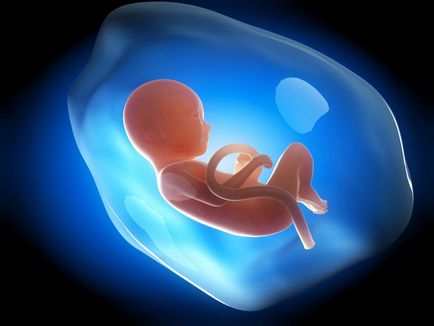 Нудота при вагітності на ранніх термінах як полегшити, як позбутися від почуття нудоти - портал