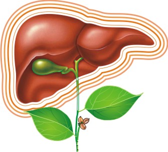 Tubul cu sorbitol ajută la curățarea ficatului