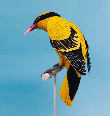 Дивно реалістичні скульптури птахів з паперу