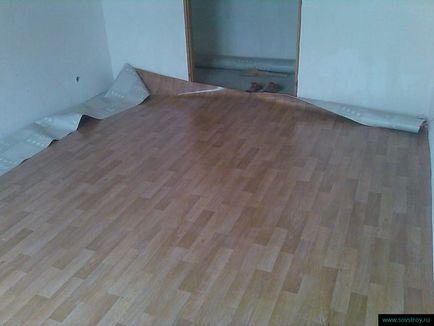 Linoleul de stabilire, prețul de stabilire a linoleum