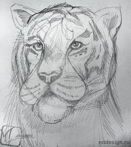 Picturi lectii - cum sa desenezi un tigru in creion