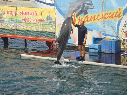 Utrish Dolphinarium descriere detaliata, adresa, poze, comentarii