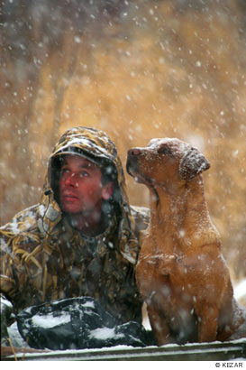 Вибрати собаку для полювання вибір породи подружейной собаки поводир компаньйон рятувальник вибрати