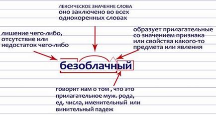 Lecții video despre programul școlar