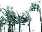 Види ураганів картинка 12528-18