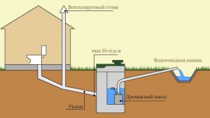 Gâscă cu propriile sale mâini modurile de a crea o cascadă