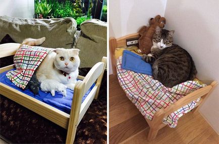 Власники котів по всій Японії, перетворюють лялькові ліжечка ikea в ліжечка для кішок