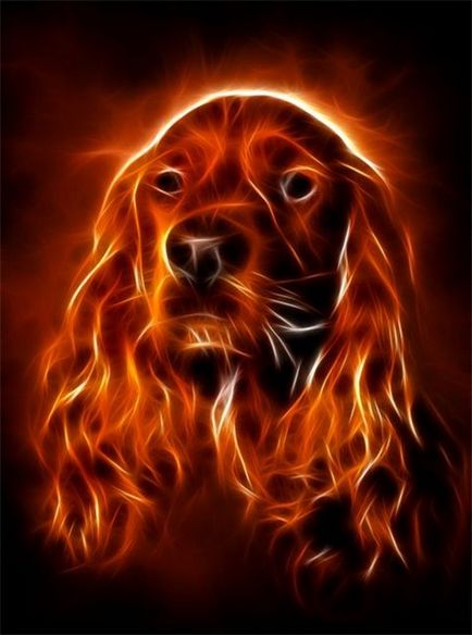 Horoscop de Est pentru 2017 ani, câine, horoscop oriental
