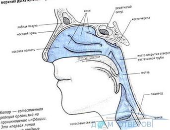 Motive posibile pentru faptul că alimentele și lichidul intră adesea în gâtul respirator