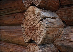Vârsta casei de lemn cum să definească