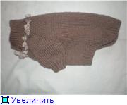 Noi tricot pentru animale