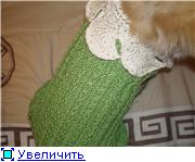 Noi tricot pentru animale